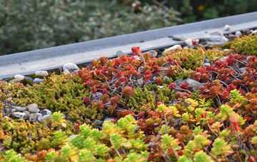 the cost of Bramhall Moor green roof installation