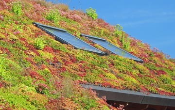 Bramhall Moor living roof systems